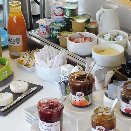 Cit'hotel L'oasis D'avignon 酒店 2*