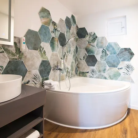 Cit'hotel L'oasis D'avignon 酒店 2*